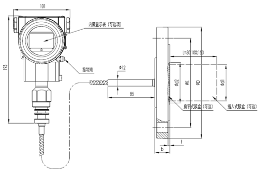 绝对压力远程变送器